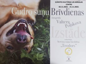 Fotogrāfa Valtera Poļakova izstāde “Gudro suņu Brīvdienas”