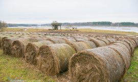 Dvietes palienē notika Attīstības komitejas sēde