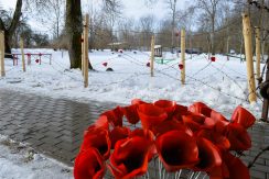 First World War Museum