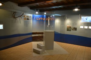 Lietuvas Nacionālā muzeja izstāde “Lingbi cirvis: 13 000 gadu garantija”
