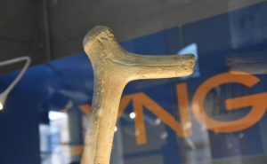Daugavpils Novadpētniecības un mākslas muzejā skatāms 13 000 gadus vecs raga cirvis