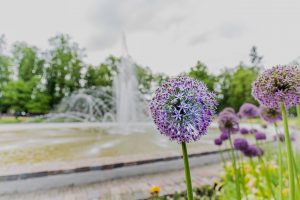 Dažas dienas nedarbosies strūklaka Dubrovina parkā