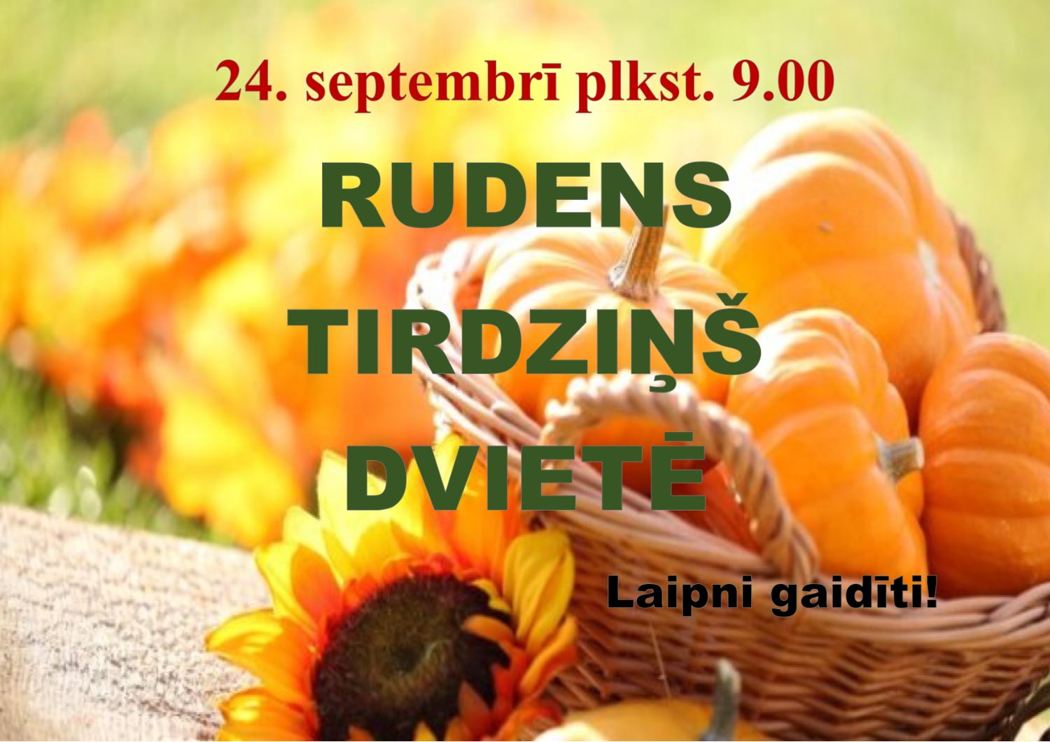 Bilde