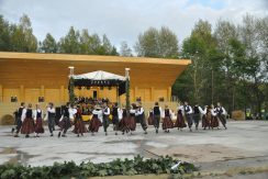 Viski stage and stadium