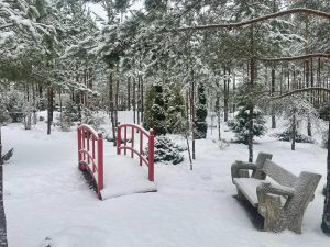 Idejas ziemas brīvdienām Augšdaugavas novadā