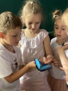 Ekskursija tauriņu studijā “Fly.Fly.lv”