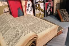 Центр Райниса