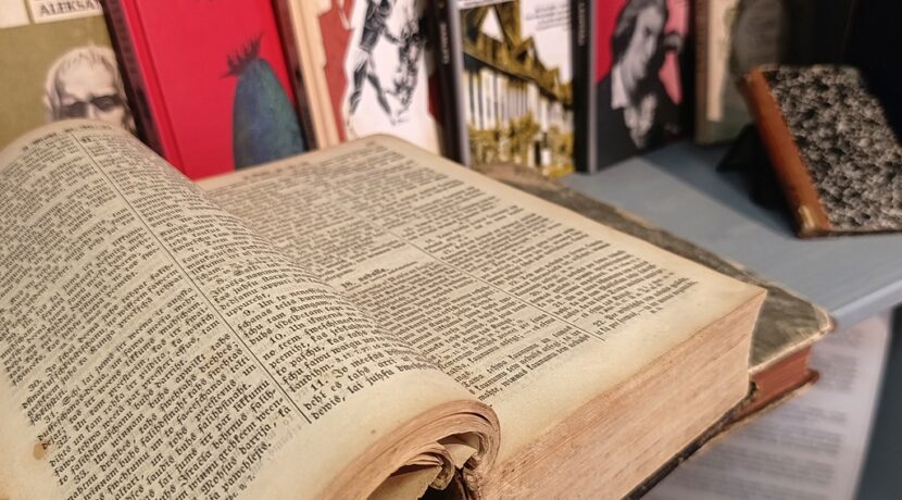 Центр Райниса