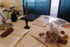 Центр Райниса