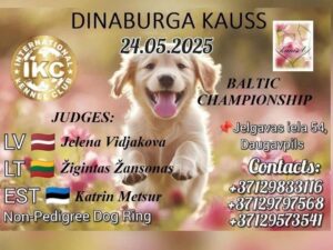 Suņu izstāde Daugavpilī