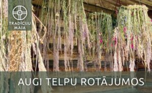 Meistarklase “Augi telpu rotājumos”