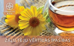Meistarklase “Zāļu tēju vērtīgās īpašības”