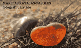 Augšdaugavas novada nedēļas pasākumu apkopojums