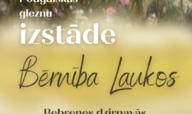 Augšdaugavas novada nedēļas pasākumu apkopojums