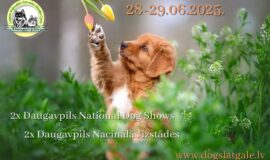 Augšdaugavas novada nedēļas pasākumu apkopojums