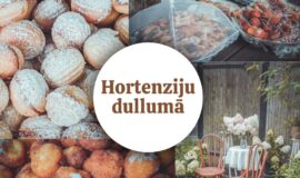 MĀJAS KAFEJNĪCU DIENAS AUGŠDAUGAVAS NOVADĀ