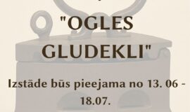 Augšdaugavas novada nedēļas pasākumu apkopojums