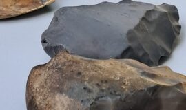 Medumos sāka darboties “Jauno arheologu skola”