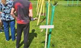 Pirmā pasaules kara muzejā Medumos noslēdzās “Jauno arheologu skolas” projekts