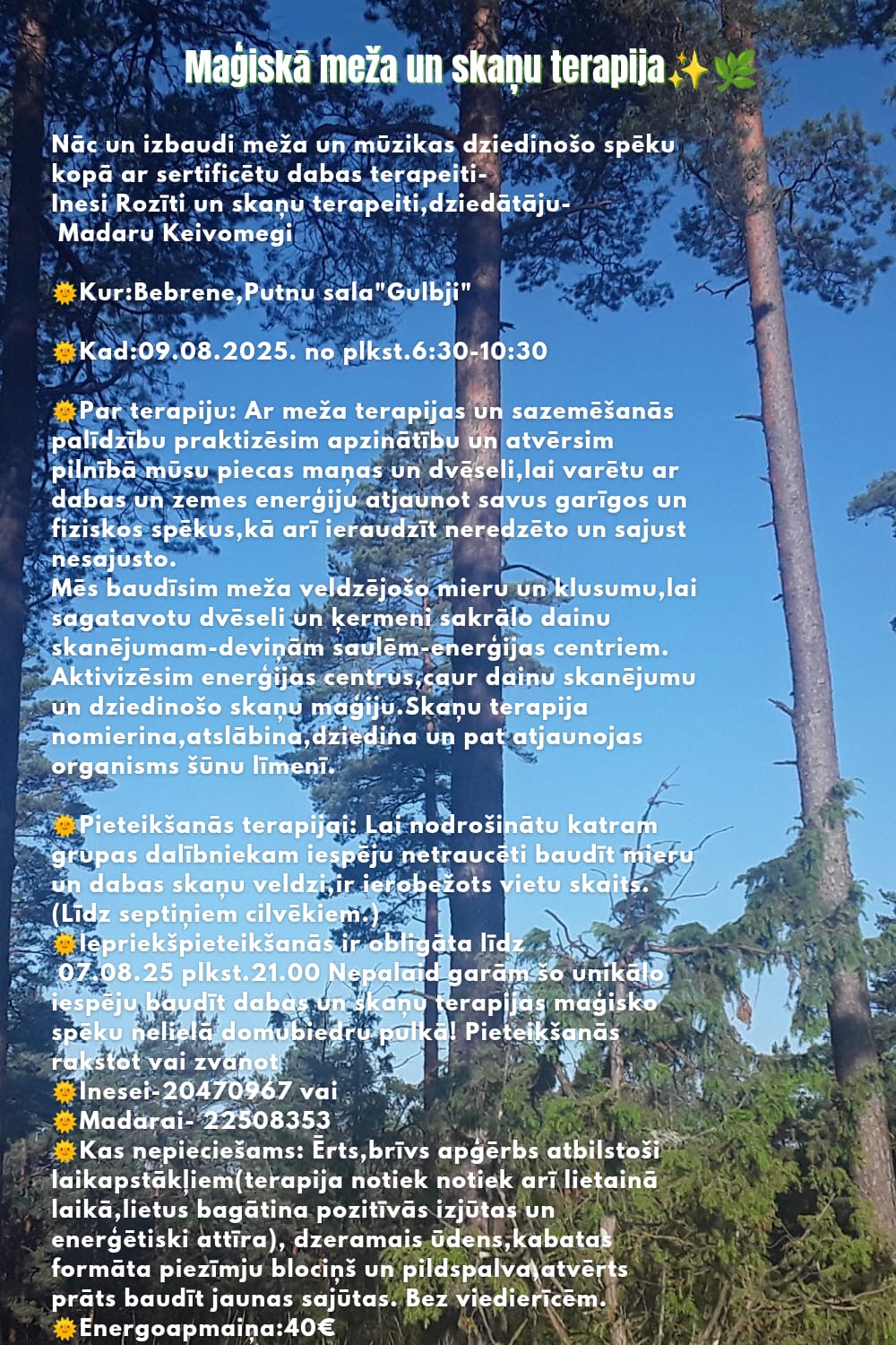 Bilde