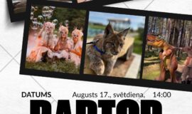 Pasākumi Augšdaugavas novadā 15.08. – 21.08.