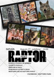 Raptors Fest