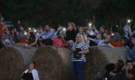 Miglas vālos Putnu salā