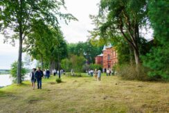 Межциемский парк
