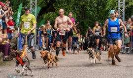 Bebrenē grandiozi aizvadīts “Sēlijas Stirnu buks un Vylks”