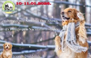 Nacionālā visu šķirņu suņu izstāde “Ziemas pasaka 2026” un “Ziemas kauss 2026”