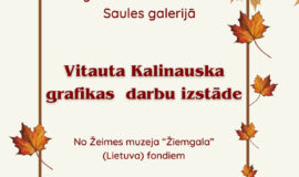 Augšdaugavas novada pasākumi 28.11. – 4.12.