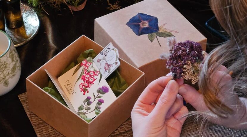 Tekstila un mākslas studija “Lama Dazz”