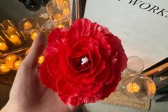 Radošā studija “Astttart”