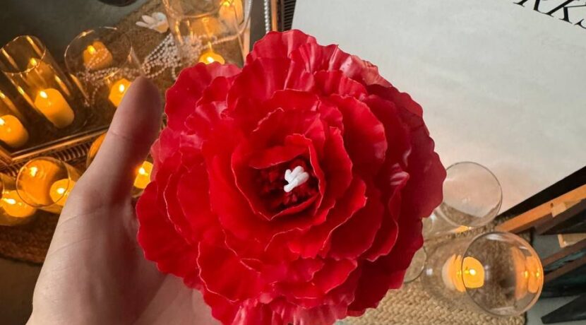 Radošā studija “Astttart”