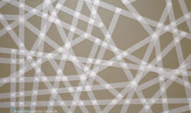 Mākslinieču dvīņumāsu sinerģijas spēks