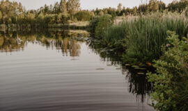 Brīvdienu māja “Meža skuķi” piedāvā iespēju baudīt dabas burvību, nomaļas vides šarmu un klusumu