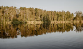 Brīvdienu māja “Meža skuķi” piedāvā iespēju baudīt dabas burvību, nomaļas vides šarmu un klusumu