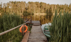 Brīvdienu māja “Meža skuķi” piedāvā iespēju baudīt dabas burvību, nomaļas vides šarmu un klusumu