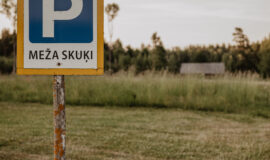 Brīvdienu māja “Meža skuķi” piedāvā iespēju baudīt dabas burvību, nomaļas vides šarmu un klusumu