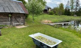 Brīvdienu māja “Damkalni” – vieta, kur baudīt atpūtu un sajust lauku šarmu