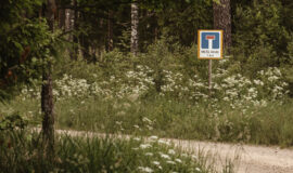 Brīvdienu māja “Meža skuķi” piedāvā iespēju baudīt dabas burvību, nomaļas vides šarmu un klusumu