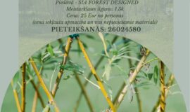 Augšdaugavas novada pasākumi 13.03. – 19.03.