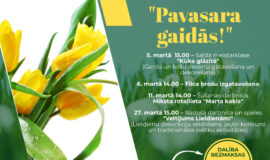 Augšdaugavas novada pasākumi 6.03. – 12.03.