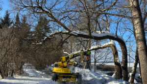 Sākusies Luknas ezermalas takas izveide – top jauna atpūtas vieta pie Luknas ezera