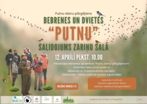 Bebrenes un Dvietes “putnu” salidojums zariņu salā
