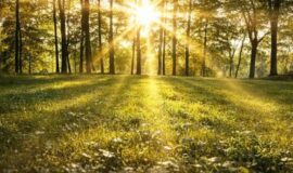 Augšdaugavas novada pasākumi 17.04. – 23.04.