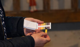 Augšdaugavas novadā ikviens varēja satikt savu meistaru