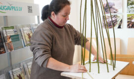 Augšdaugavas novadā ikviens varēja satikt savu meistaru