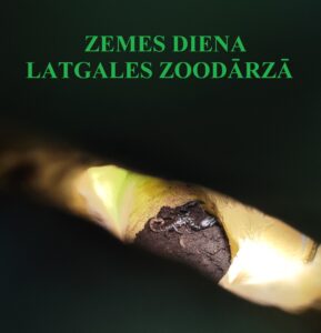 Zemes diena Latgales zoodārzā