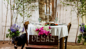 “Mājas kafejnīcu dienām 2026” Sēlijas salās saņemti 39 pieteikumi